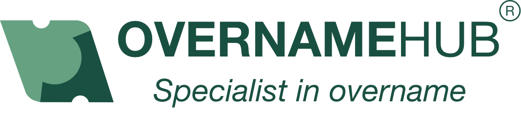 Overnamehub hub logo 15