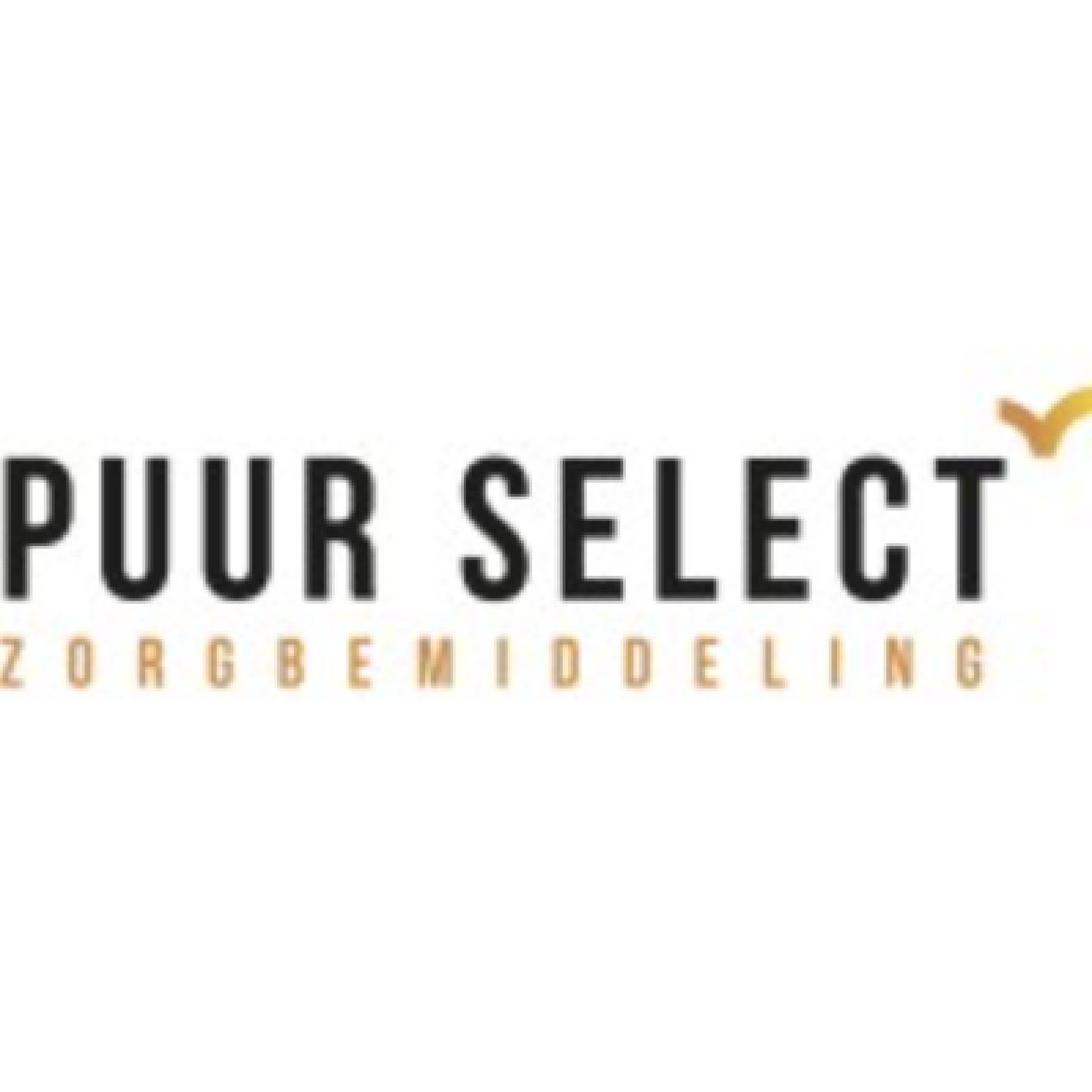 Image 543